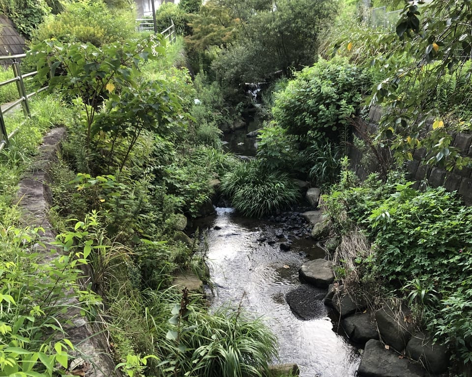 上永谷　せせらぎ緑道の滝