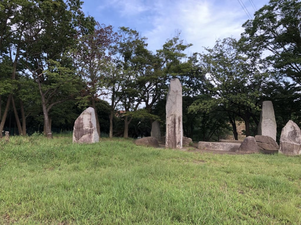 丸山台公園　野原