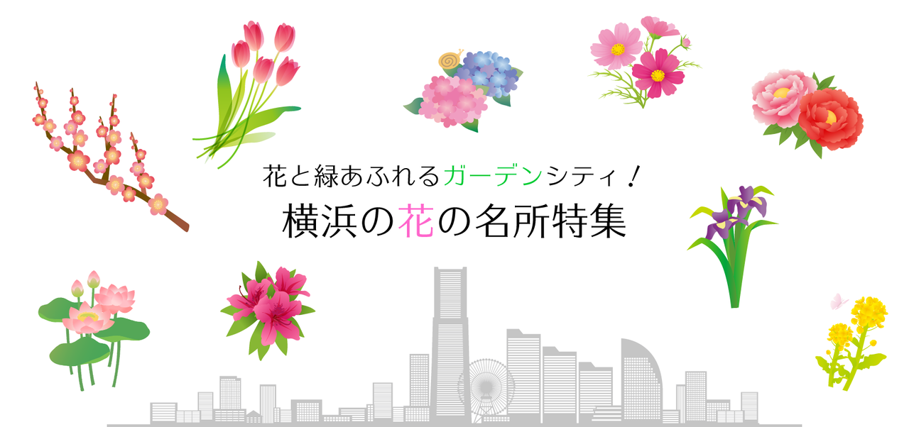 横浜の花の名所特集