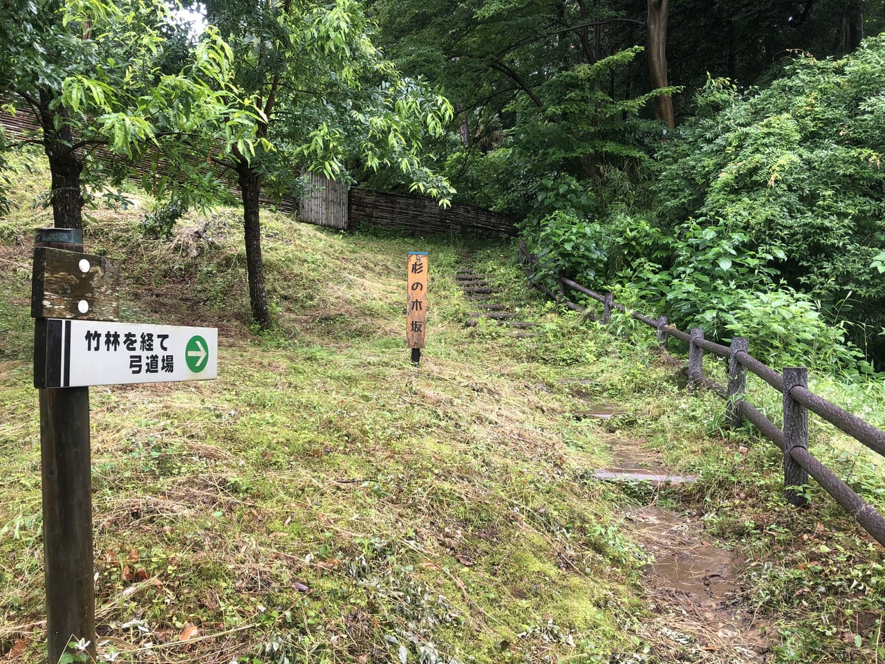 本郷ふじやま公園の竹林入口
