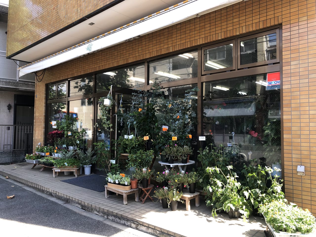 横浜市港南区 上大岡の地で創業100年以上の老舗花屋がある アレンジお任せの花束を大切な人に 号外net 横浜市港南区 栄区