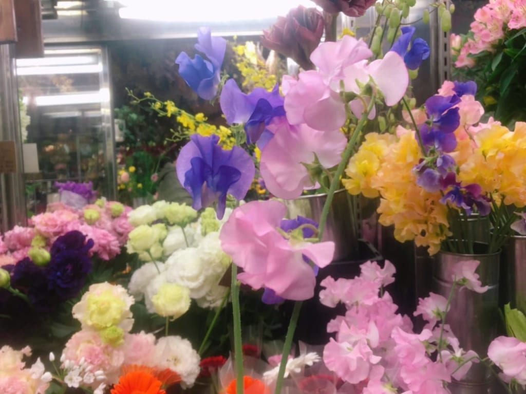 花ともだち大塚11