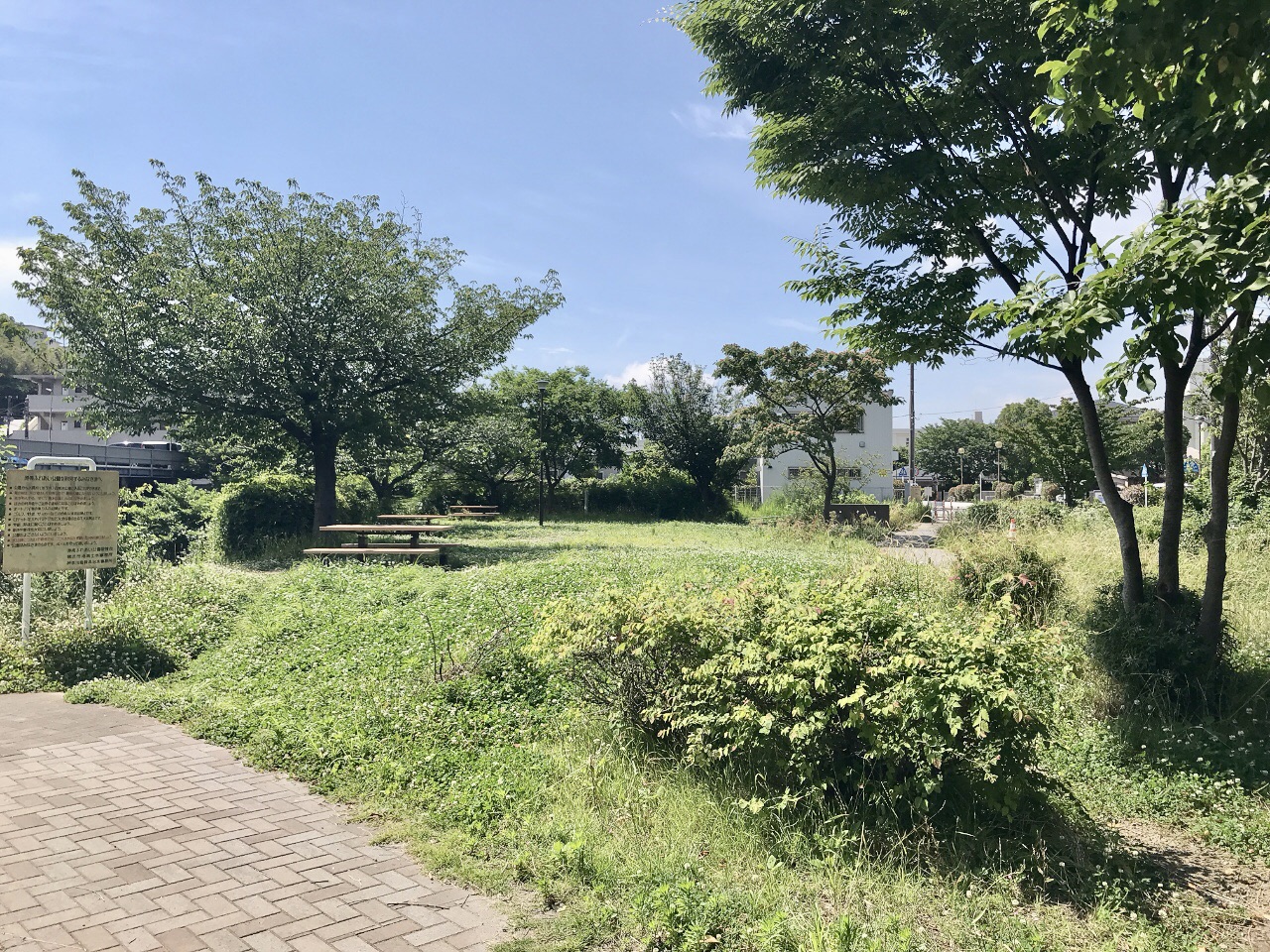 港南ふれあい公園の広場