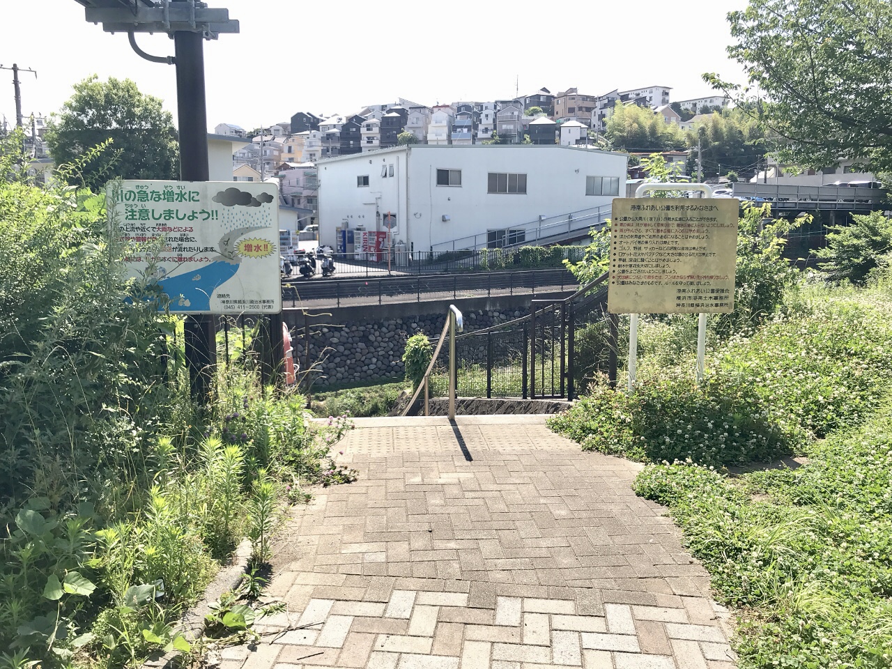 港南ふれあい公園の川に続く階段