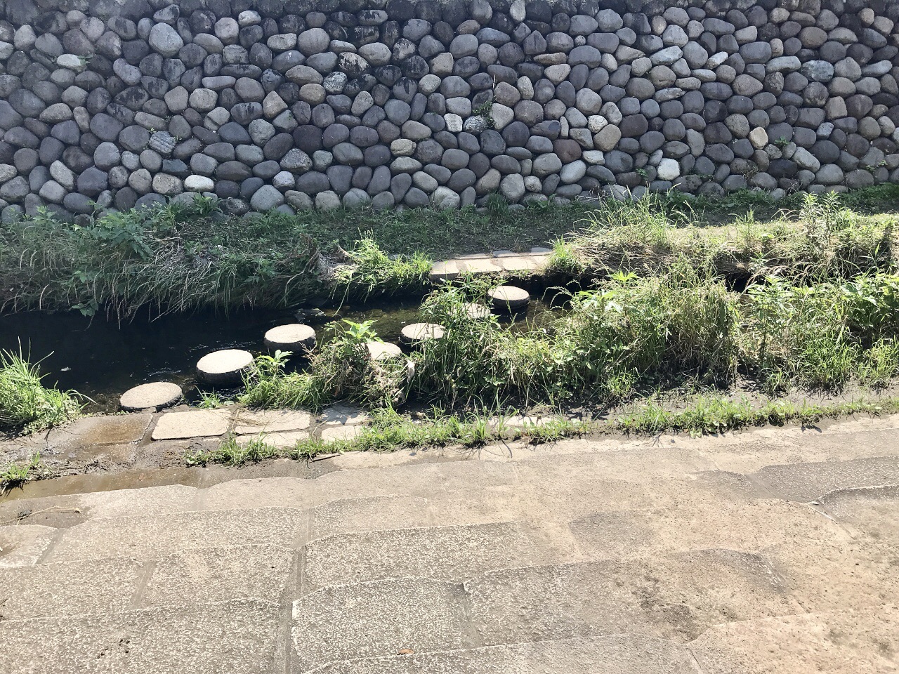 港南ふれあい公園の川