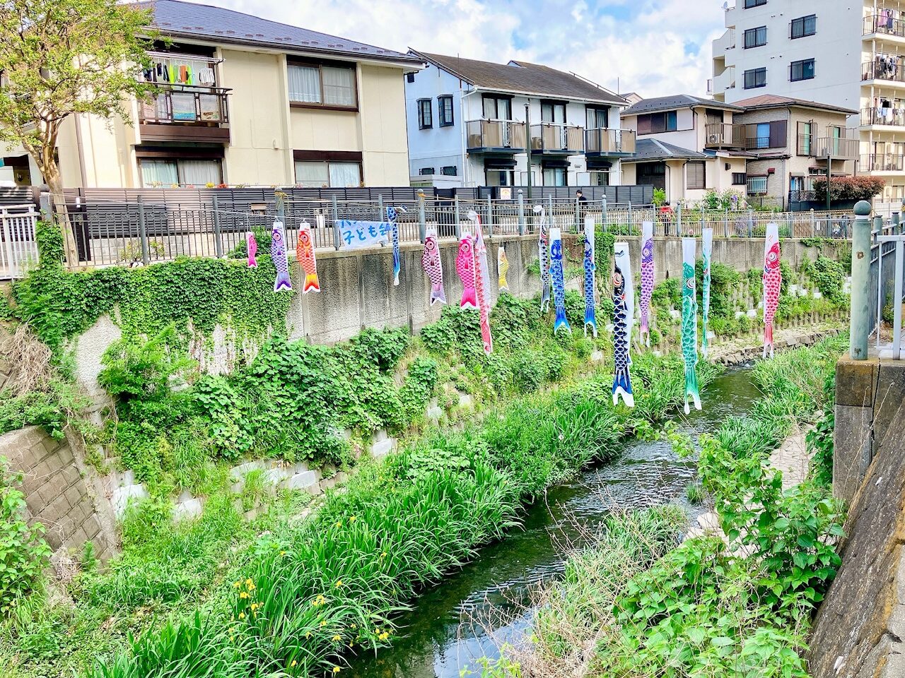 2025年5月「大岡川」鯉のぼり