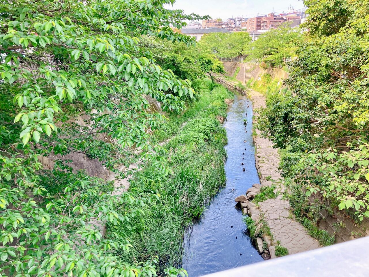 2025年5月「大岡川」反対側