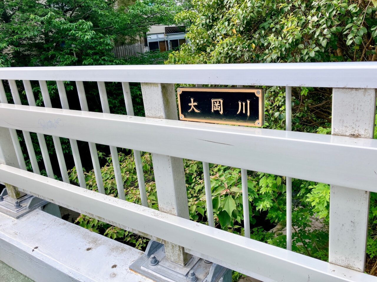 2025年5月「大岡川」橋の上