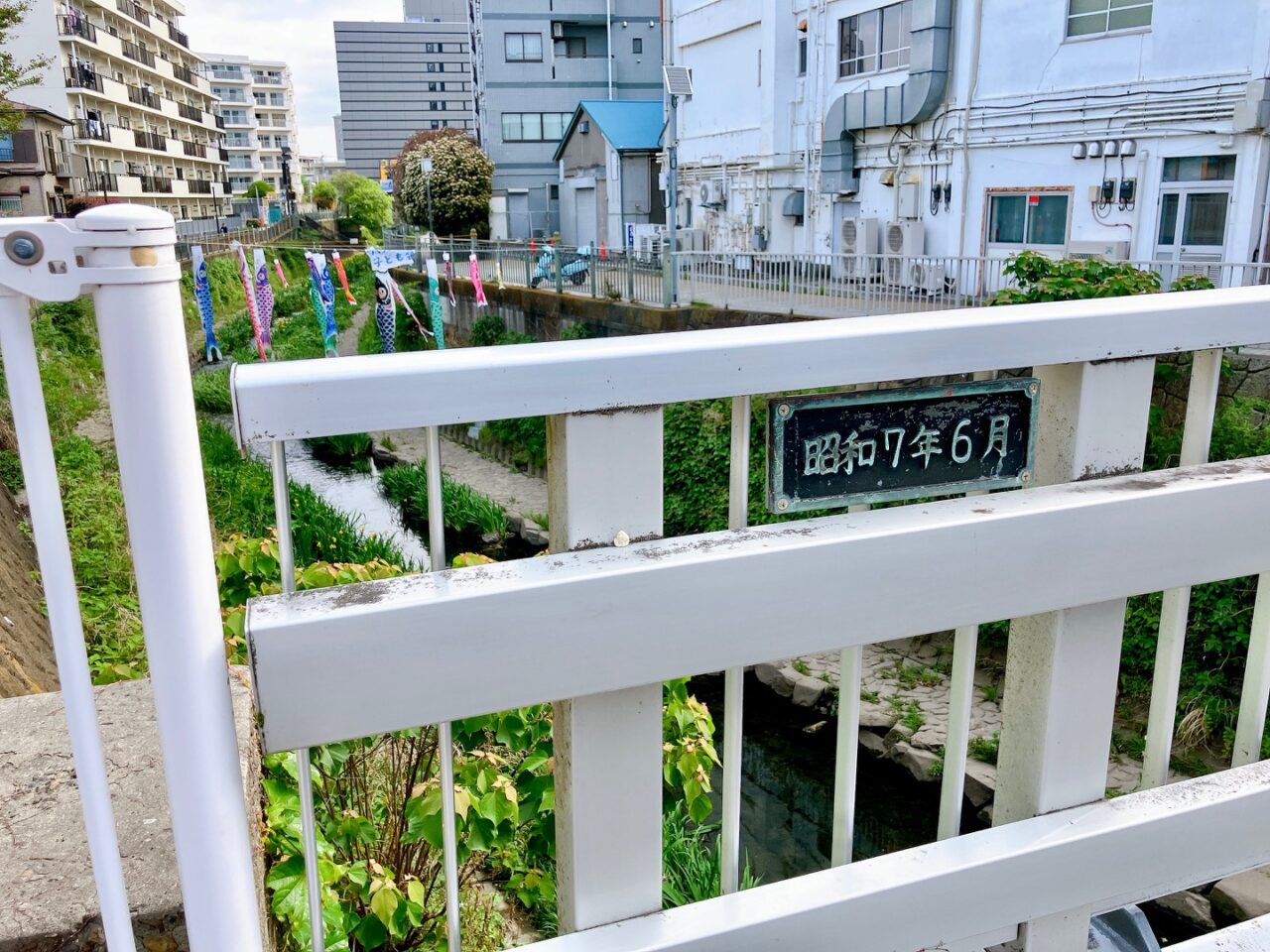 2025年5月「大岡川」橋の上02