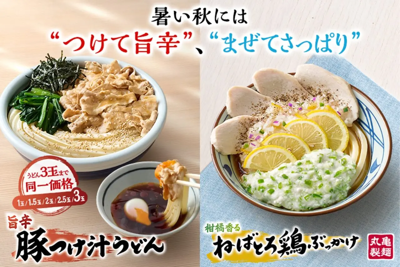 2025年9月「丸亀製麵」冷たいうどん