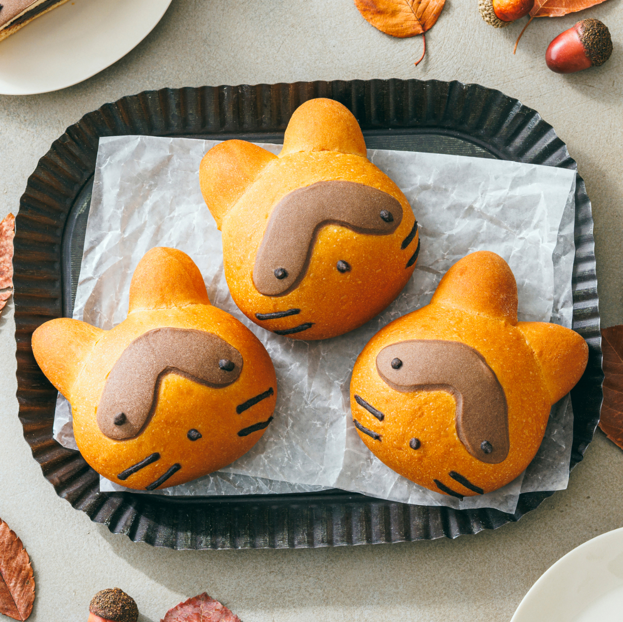 2025年11月「木村屋總本店」動物パン(たぬき)