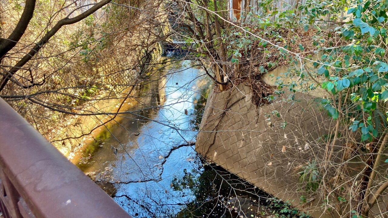 2025年12月「馬洗川」