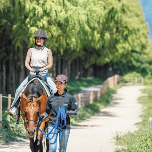2025年12月「2026年開運福袋」馬とふれあい国宝を訪ねる