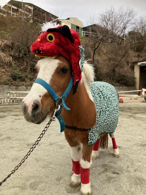 2025年12月「2026年開運福袋」ポニーふれあいイベント