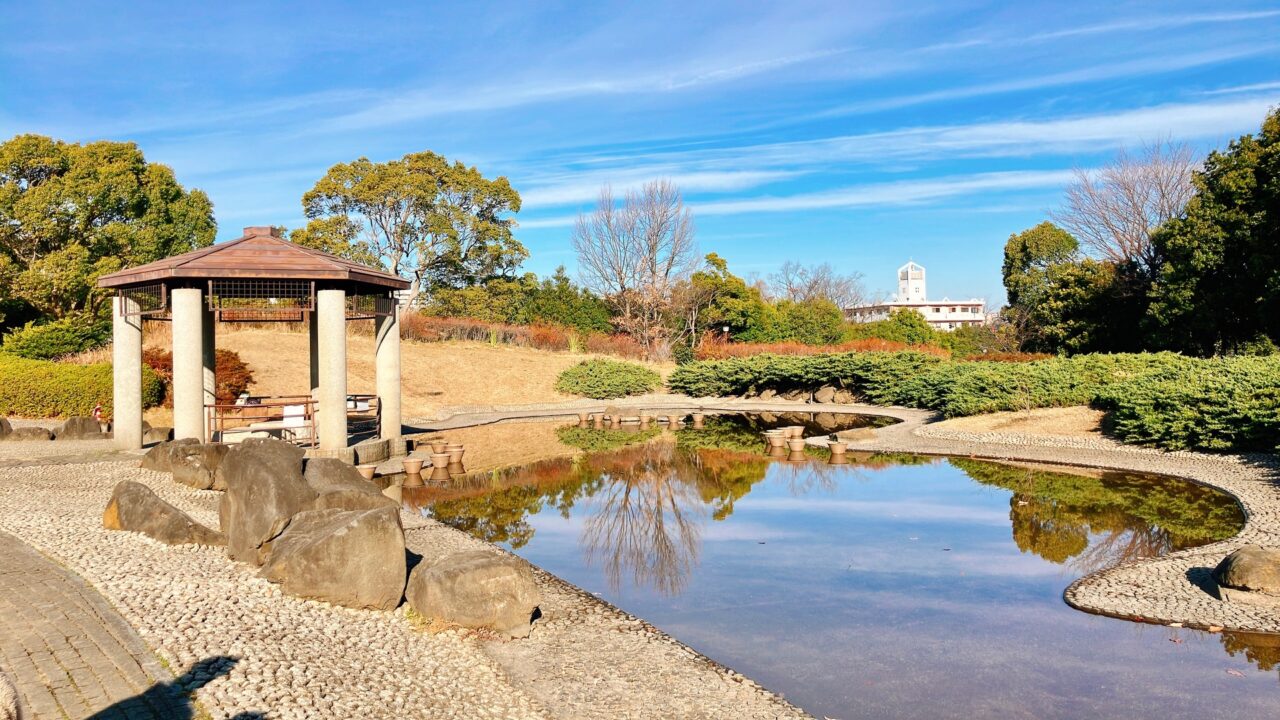 2026年1月「日野中央公園」池