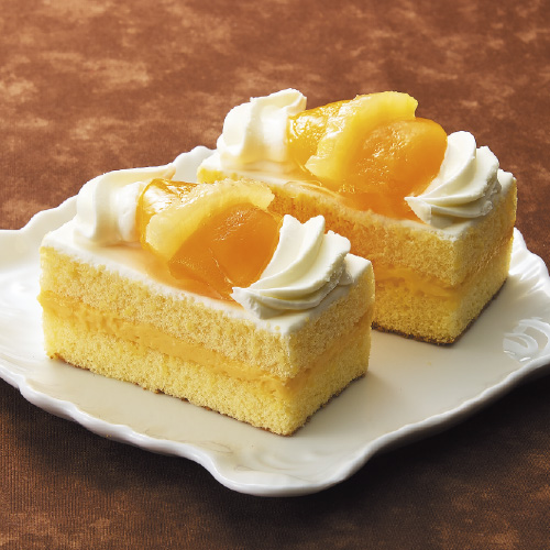 2026年1月「第30回 大九州展」シースクリーム