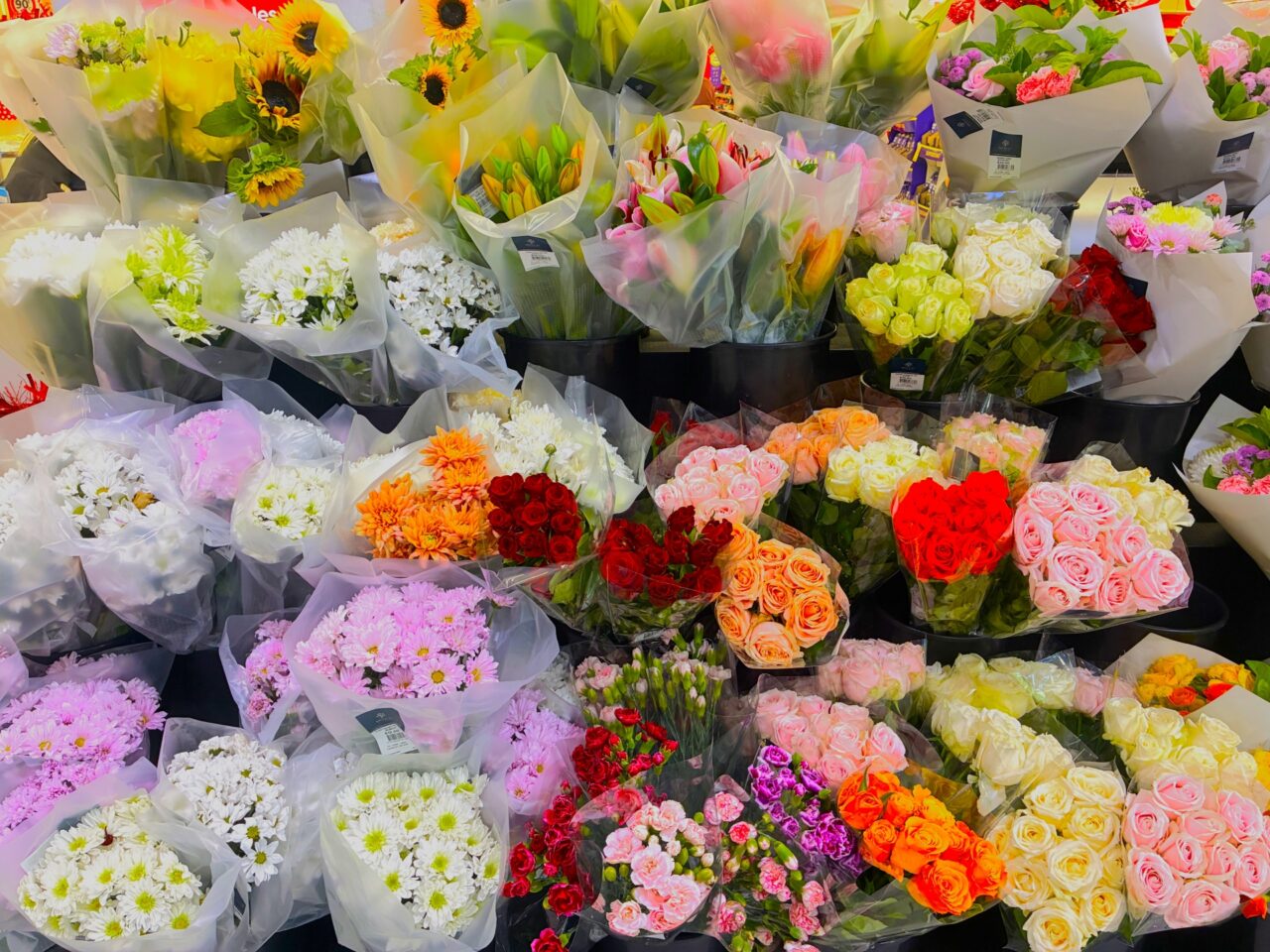 2026年3月「GREEN×EXPO2027 PRイベント」イメージ