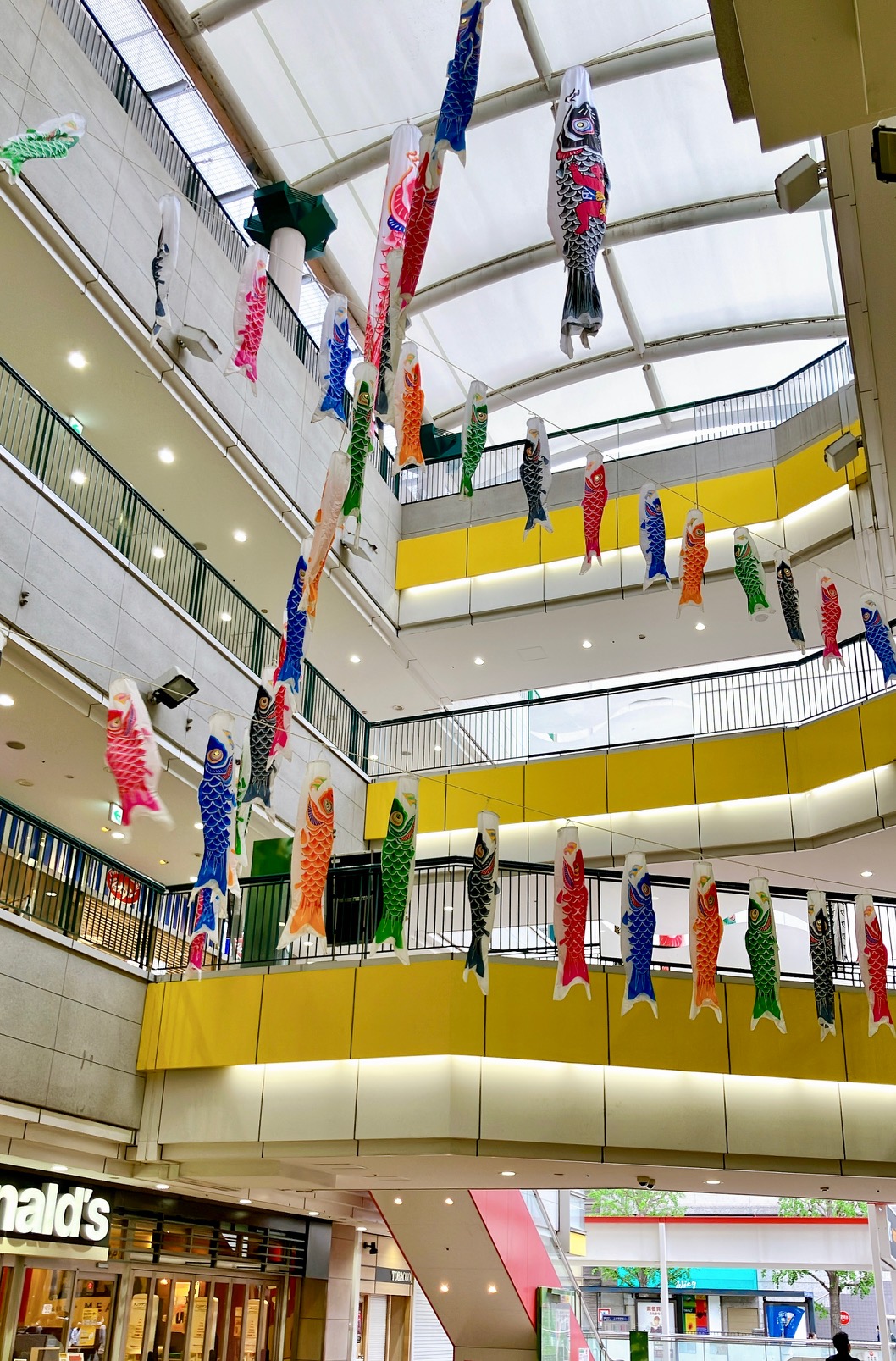 2026年4月「カミオ」鯉のぼり