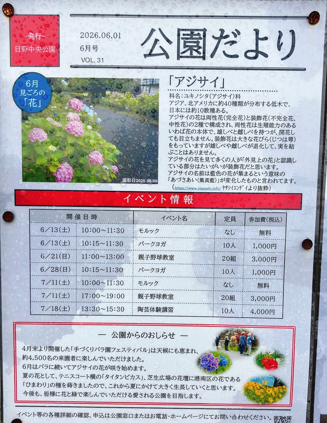 2026年6月「日野中央公園」公園だより