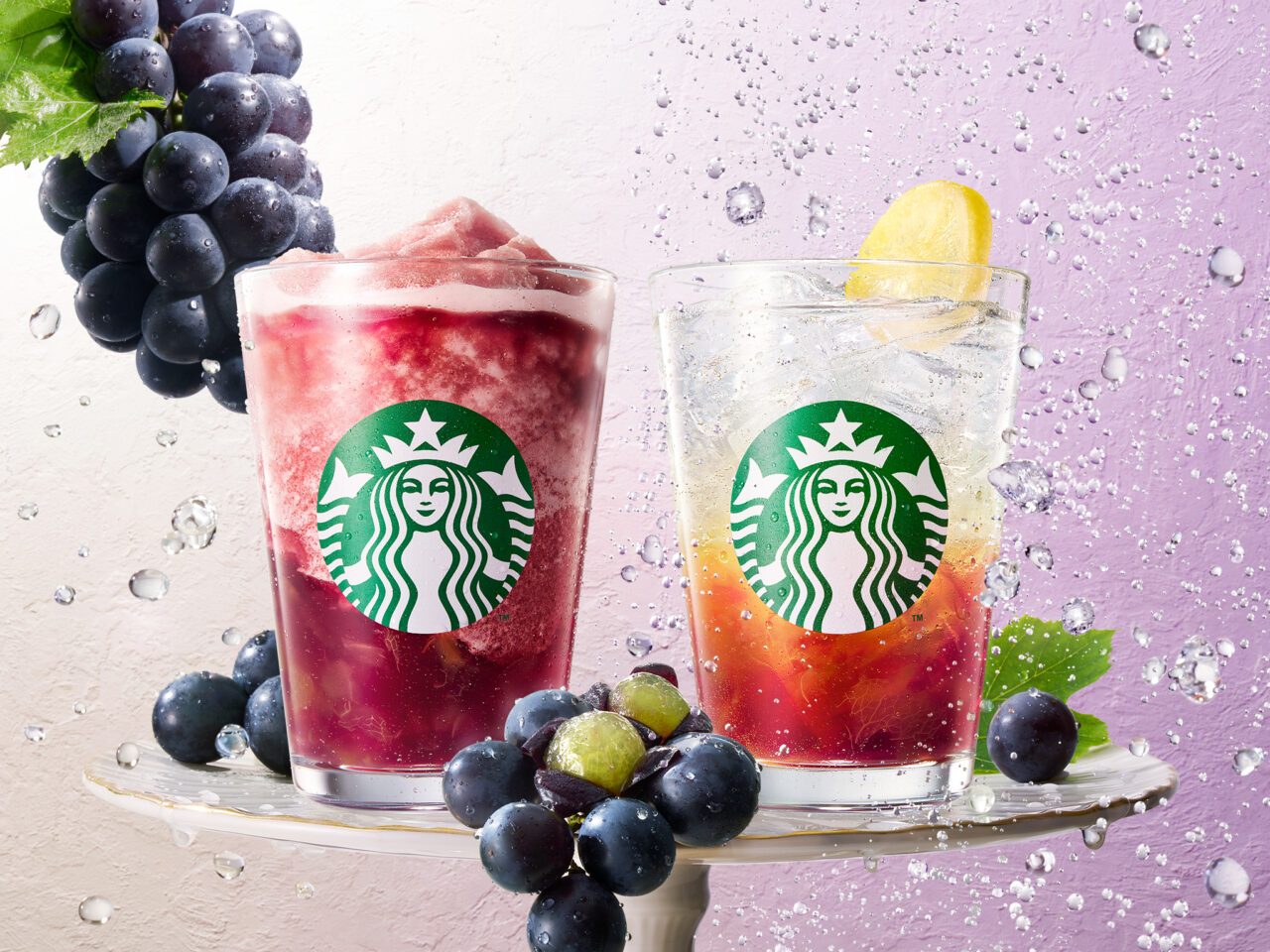 2026年8月「スターバックス」巨峰